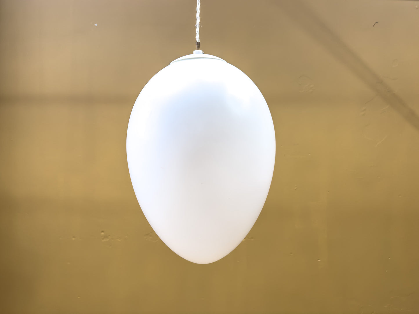 Egg Shaped Pendant Light