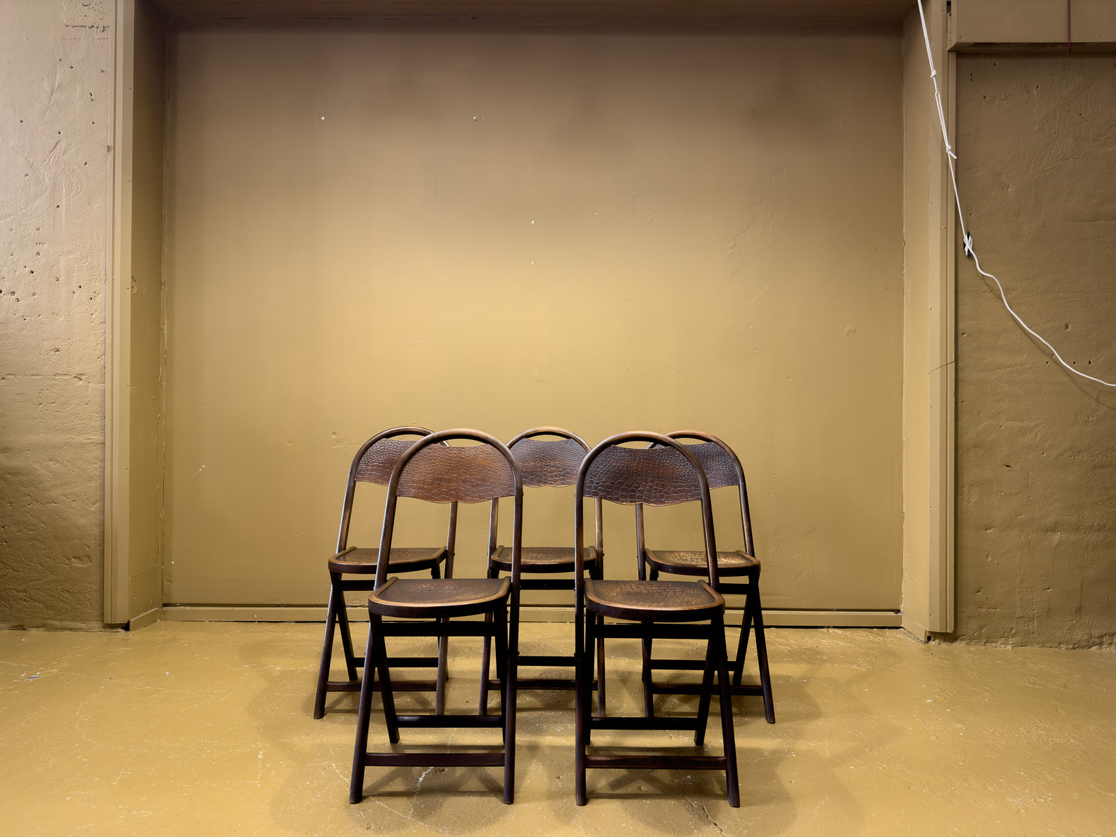 Early 20th Century Folding Chairs