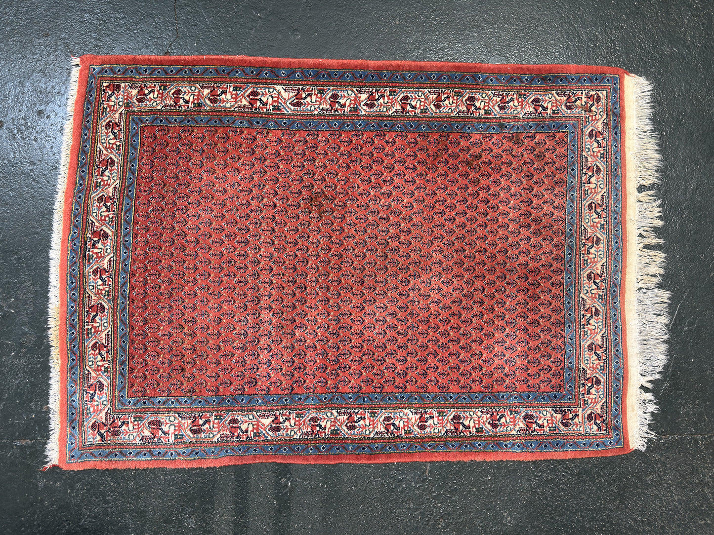 Pastel Blue and Orange Rug