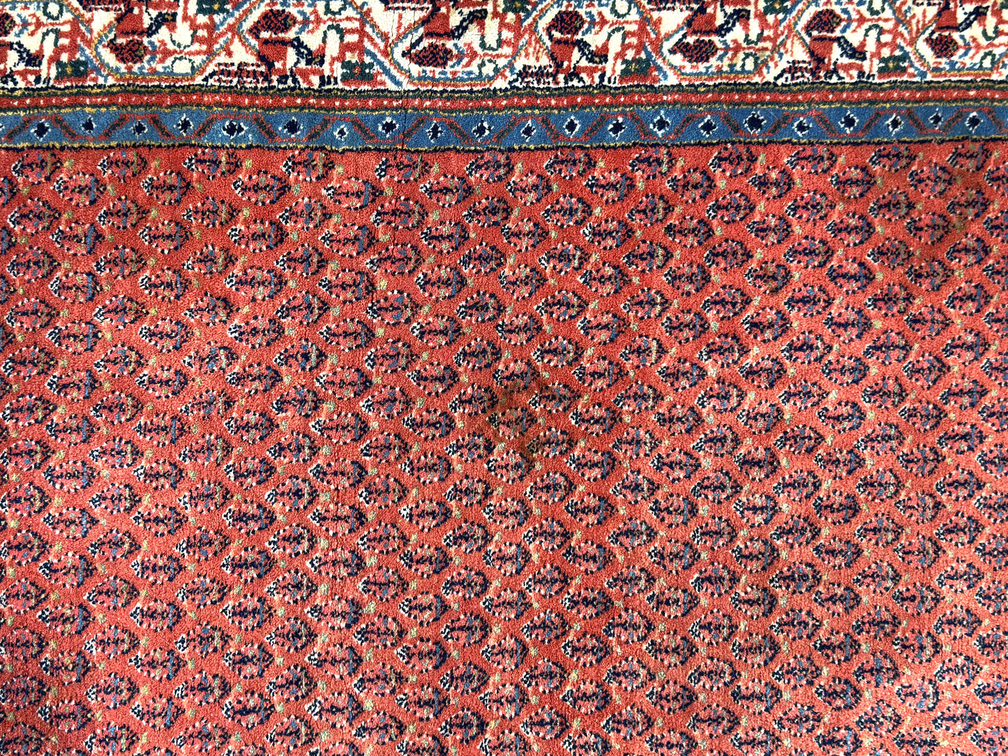 Pastel Blue and Orange Rug