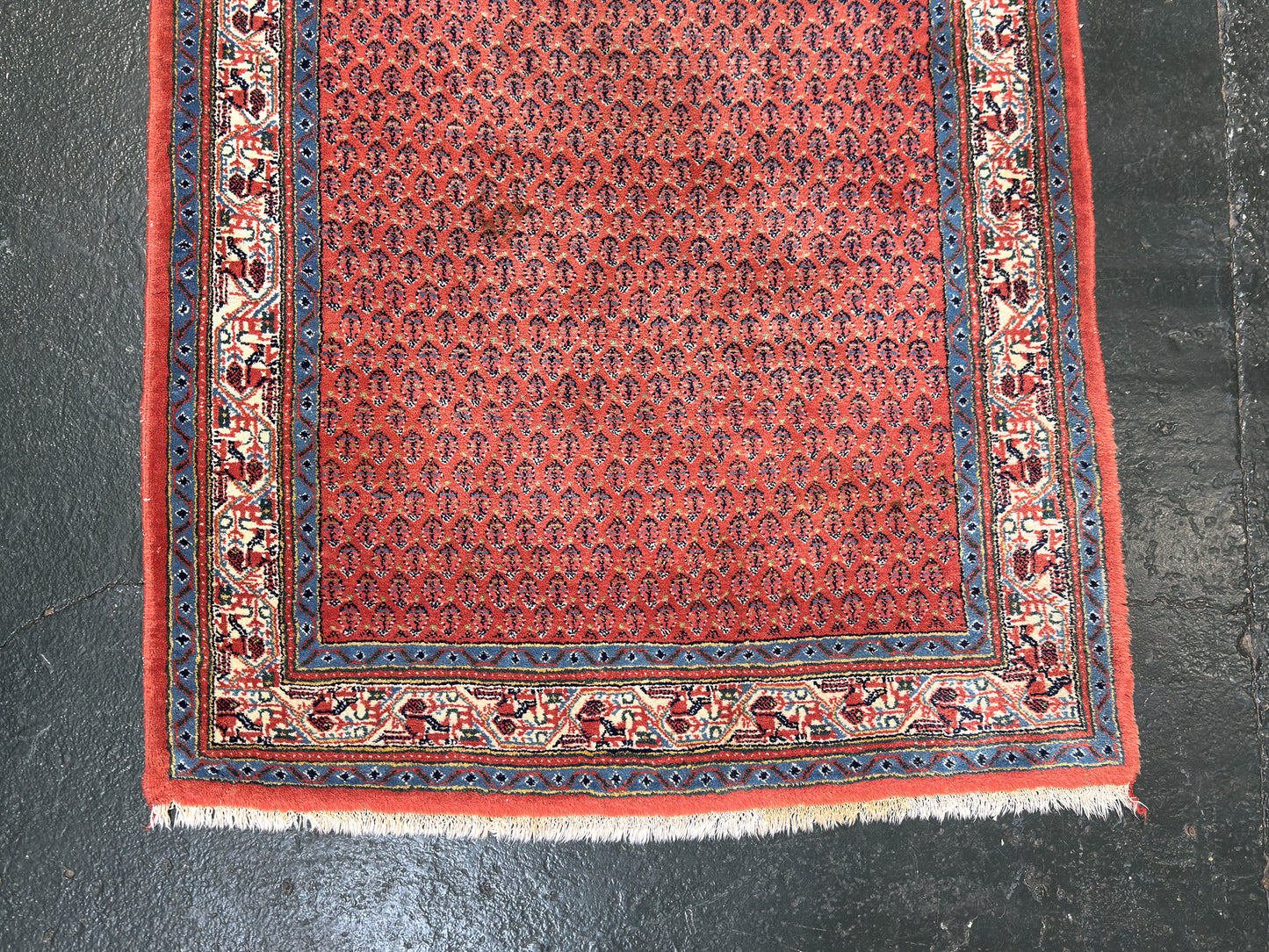 Pastel Blue and Orange Rug