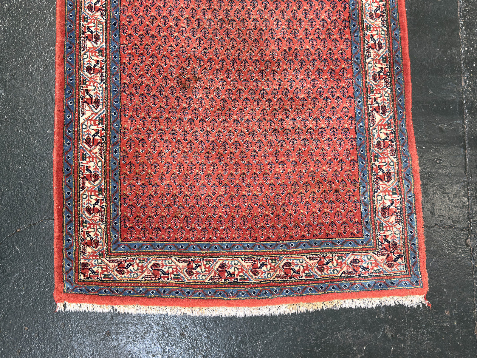 Pastel Blue and Orange Rug
