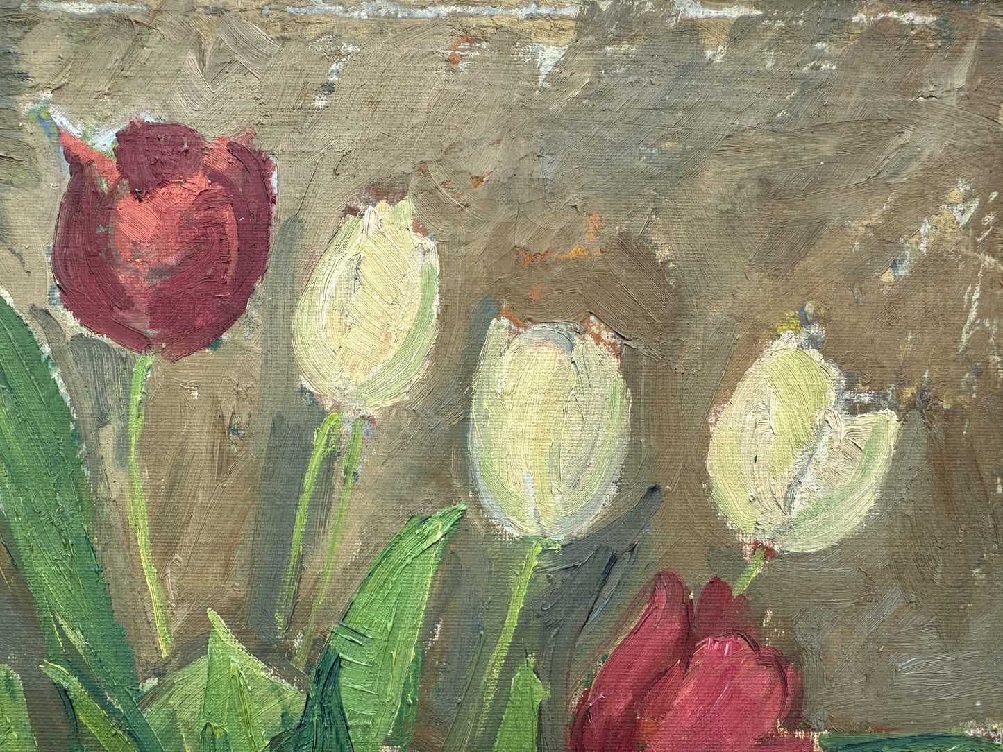 Still Life Painting of Red and White Tulips